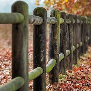 Voluptatem labore omnis qui cum illum.